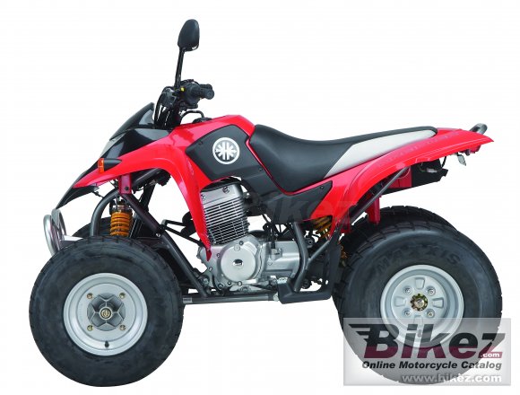 2010 Kreidler Mustang 250 photo